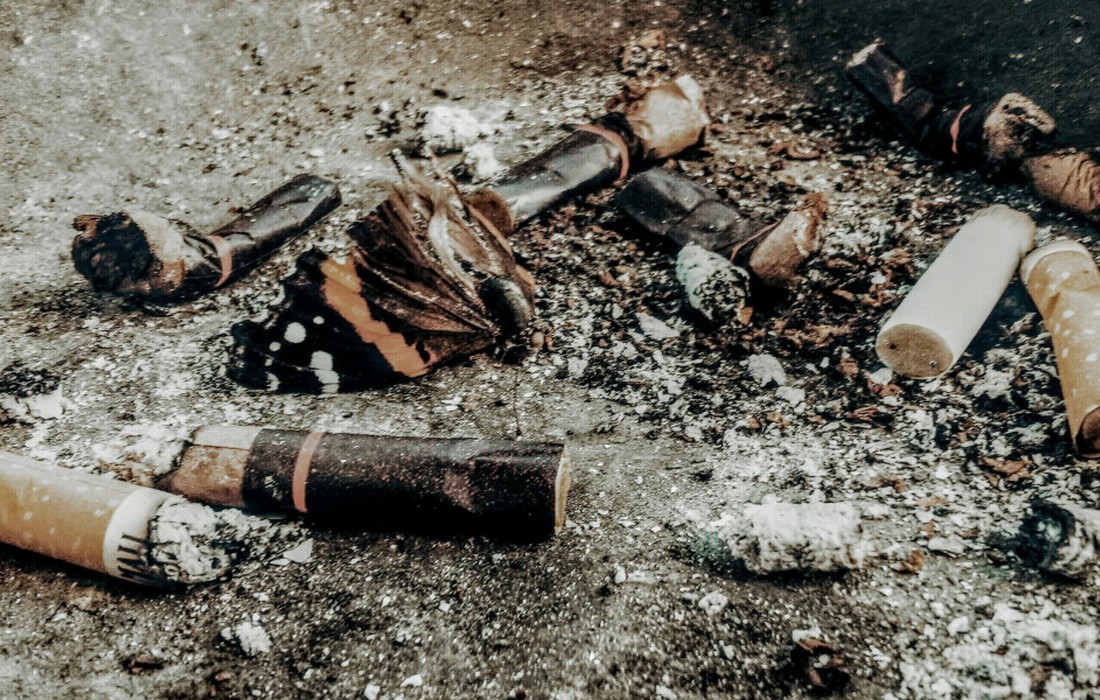 2025: Versteuerte Zigaretten leicht gestiegen, langfristiger Konsum deutlich gesunken