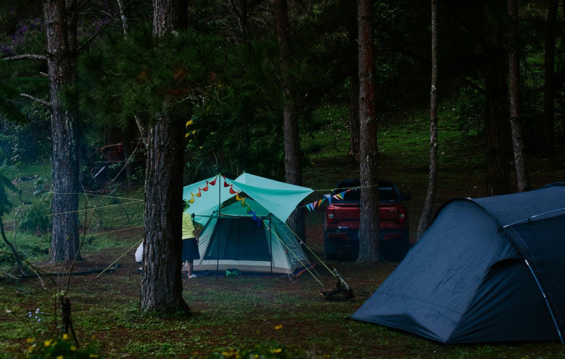 Rekordjahr für Camping in Deutschland: 44,7 Millionen Übernachtungen 2025