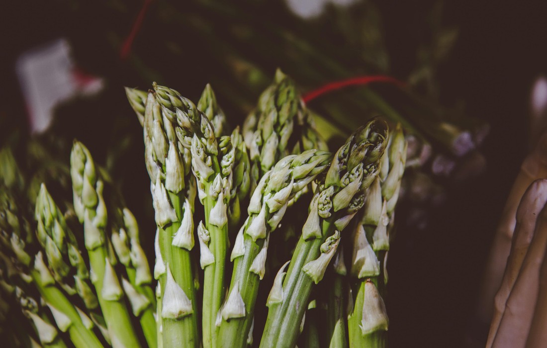 Spargelernte in Deutschland schrumpft: Fläche und Betriebe deutlich reduziert