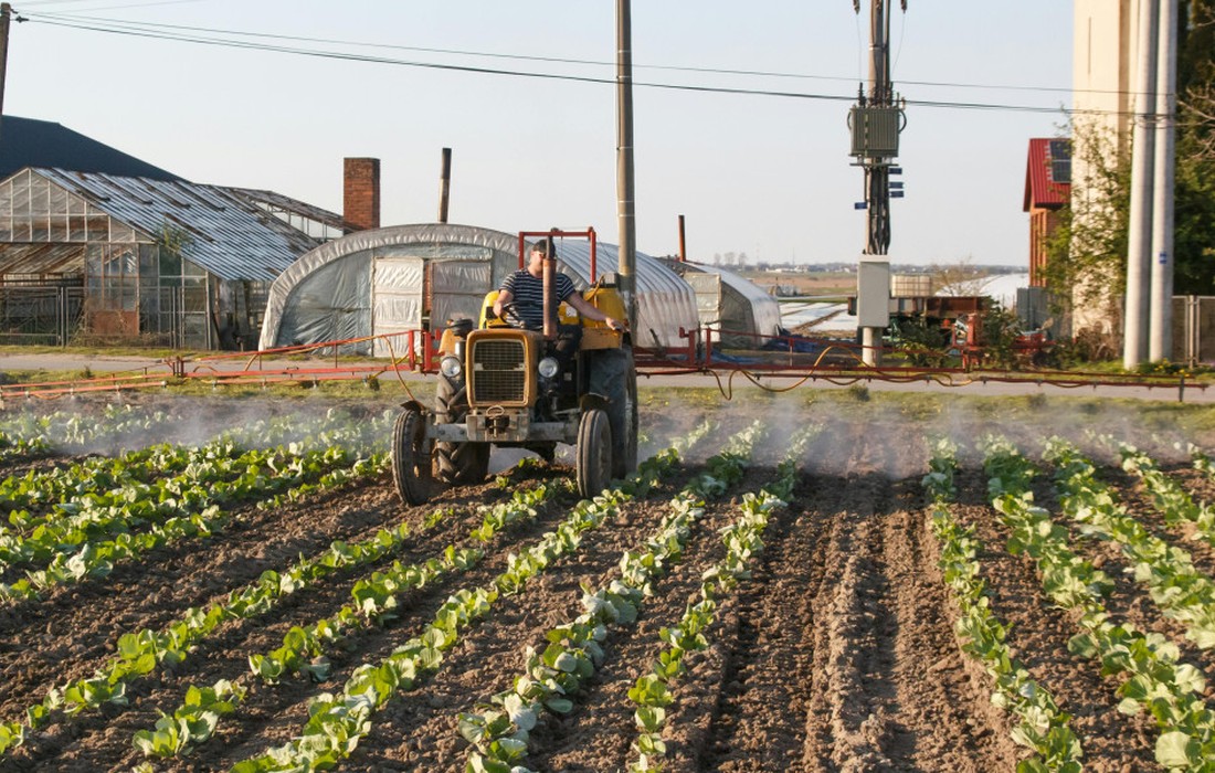 Thermische Verwertung gewinnt: Nur noch 12 Prozent des Klärschlamms 2024 als Dünger genutzt